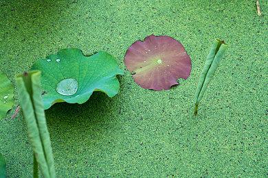 《皇牌空战7：未知空域》更新发布 移除D加密技术